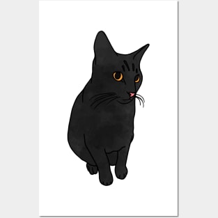 Sitting Black Cat Posters and Art